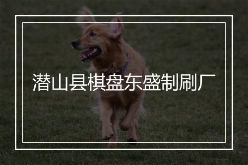潜山县棋盘东盛制刷厂
