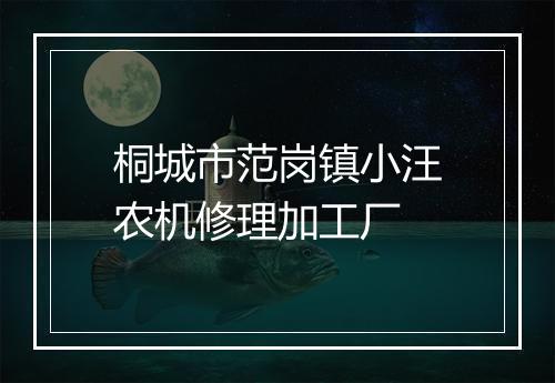 桐城市范岗镇小汪农机修理加工厂