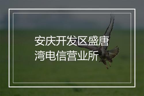 安庆开发区盛唐湾电信营业所