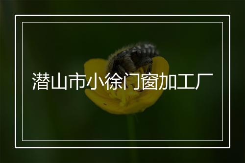 潜山市小徐门窗加工厂