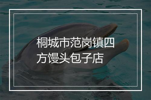 桐城市范岗镇四方馒头包子店