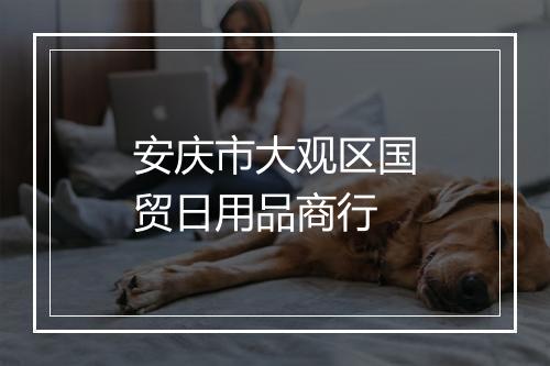 安庆市大观区国贸日用品商行