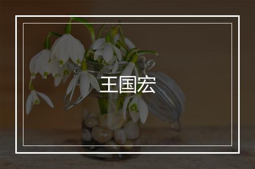王国宏