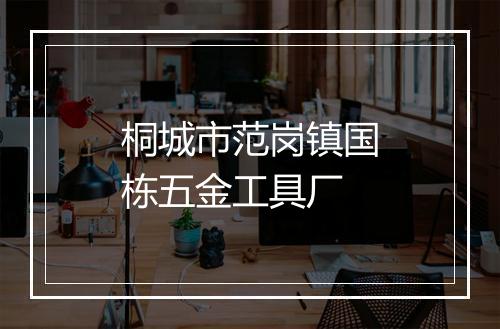 桐城市范岗镇国栋五金工具厂