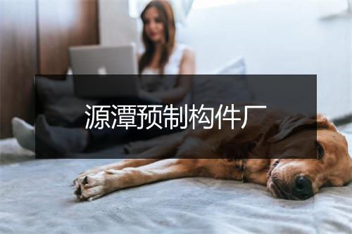 源潭预制构件厂