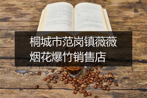 桐城市范岗镇薇薇烟花爆竹销售店