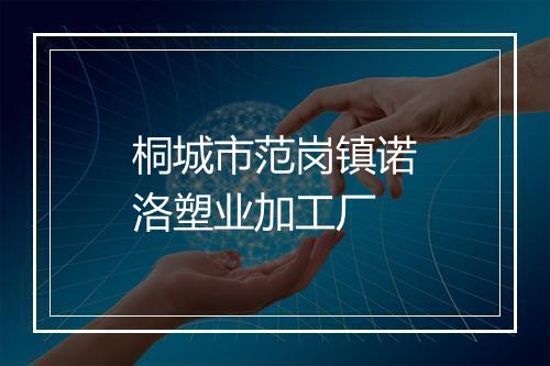 桐城市范岗镇诺洛塑业加工厂