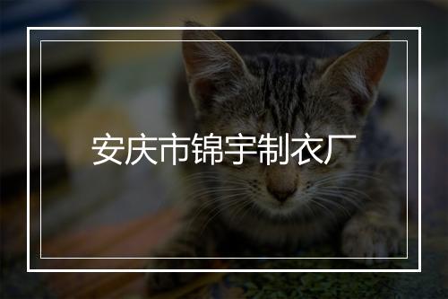 安庆市锦宇制衣厂