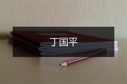 丁国平