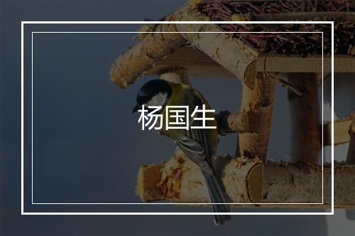 杨国生