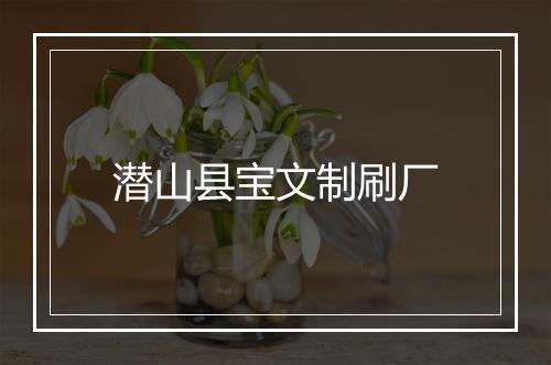 潜山县宝文制刷厂