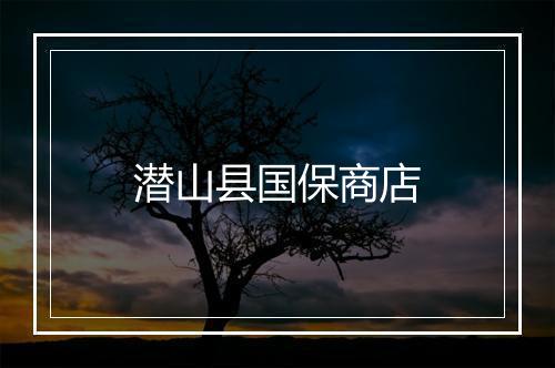 潜山县国保商店