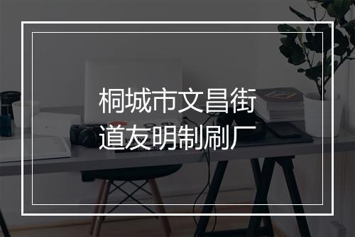 桐城市文昌街道友明制刷厂