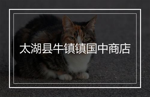 太湖县牛镇镇国中商店