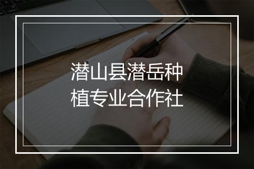 潜山县潜岳种植专业合作社