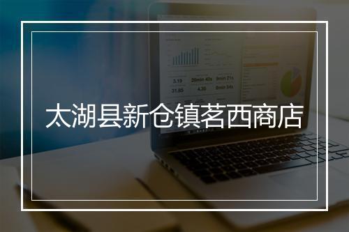 太湖县新仓镇茗西商店