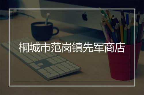 桐城市范岗镇先军商店