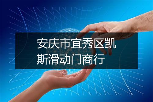 安庆市宜秀区凯斯滑动门商行