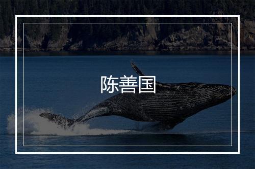 陈善国