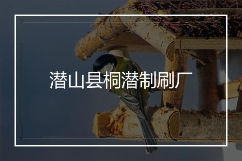 潜山县桐潜制刷厂