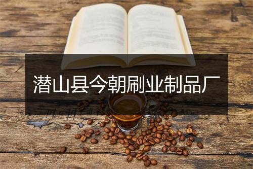 潜山县今朝刷业制品厂