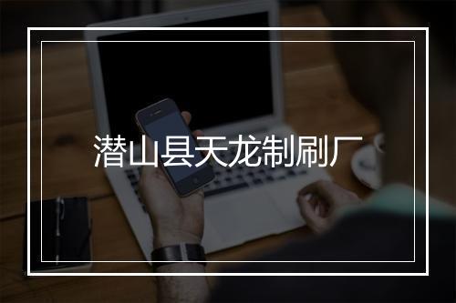 潜山县天龙制刷厂