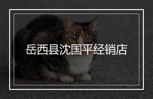 岳西县沈国平经销店