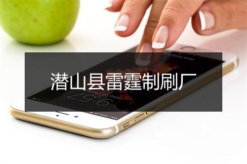 潜山县雷霆制刷厂