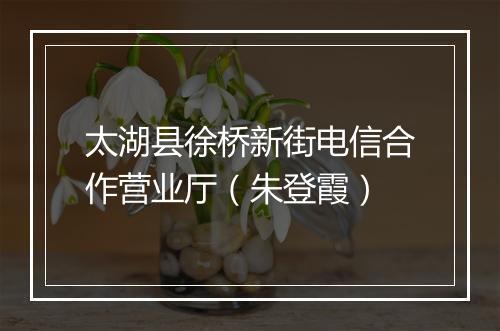 太湖县徐桥新街电信合作营业厅（朱登霞）