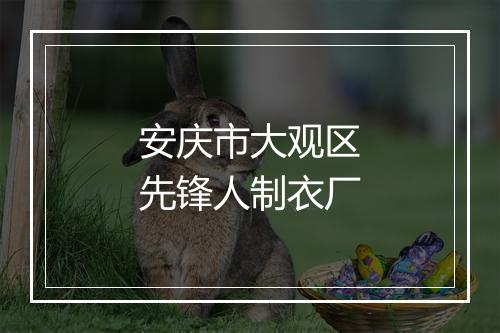 安庆市大观区先锋人制衣厂
