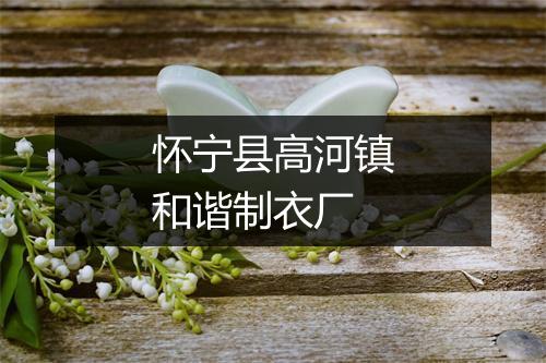 怀宁县高河镇和谐制衣厂