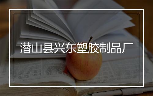 潜山县兴东塑胶制品厂