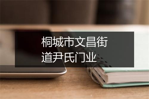 桐城市文昌街道尹氏门业