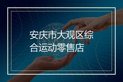 安庆市大观区综合运动零售店