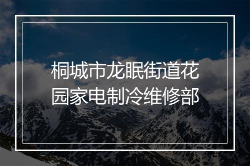 桐城市龙眠街道花园家电制冷维修部