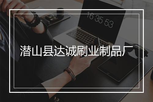 潜山县达诚刷业制品厂