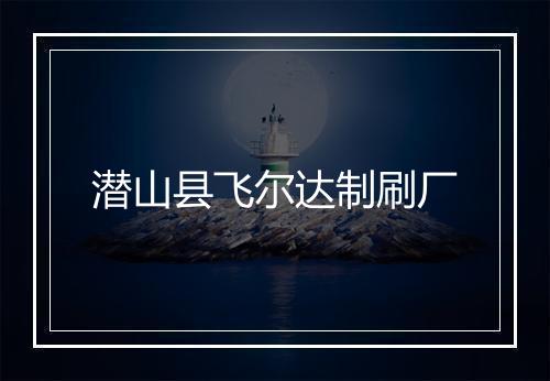 潜山县飞尔达制刷厂