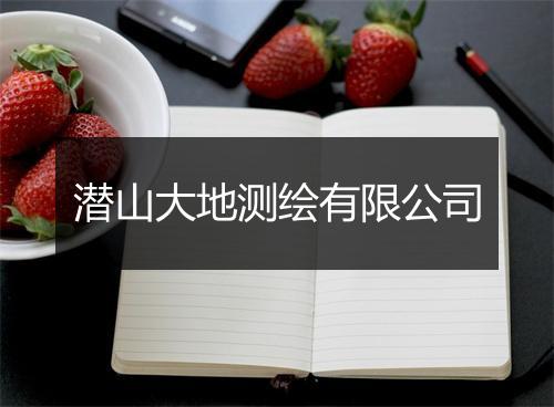 潜山大地测绘有限公司