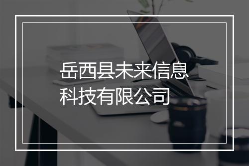 岳西县未来信息科技有限公司