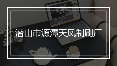 潜山市源潭天凤制刷厂