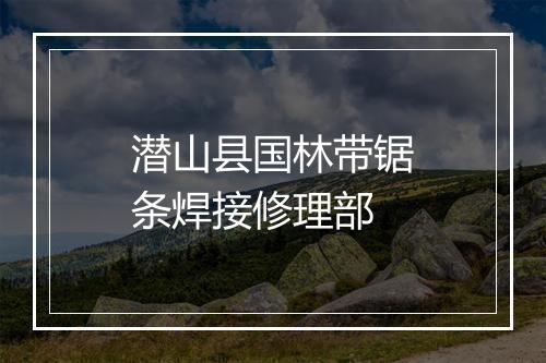 潜山县国林带锯条焊接修理部