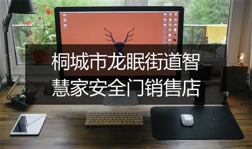 桐城市龙眠街道智慧家安全门销售店