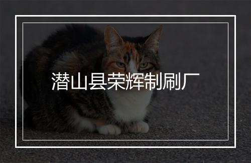 潜山县荣辉制刷厂
