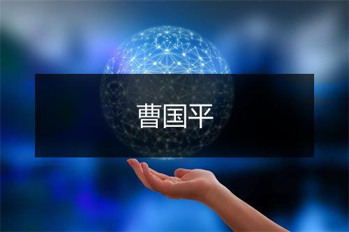 曹国平