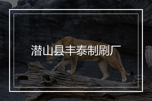潜山县丰泰制刷厂