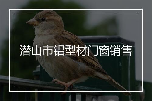 潜山市铝型材门窗销售