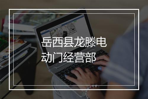 岳西县龙滕电动门经营部
