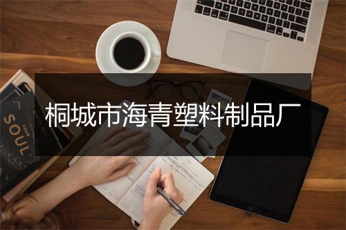 桐城市海青塑料制品厂