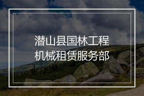 潜山县国林工程机械租赁服务部
