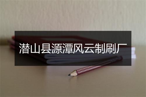 潜山县源潭风云制刷厂